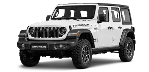 Rubicon(2.0L)